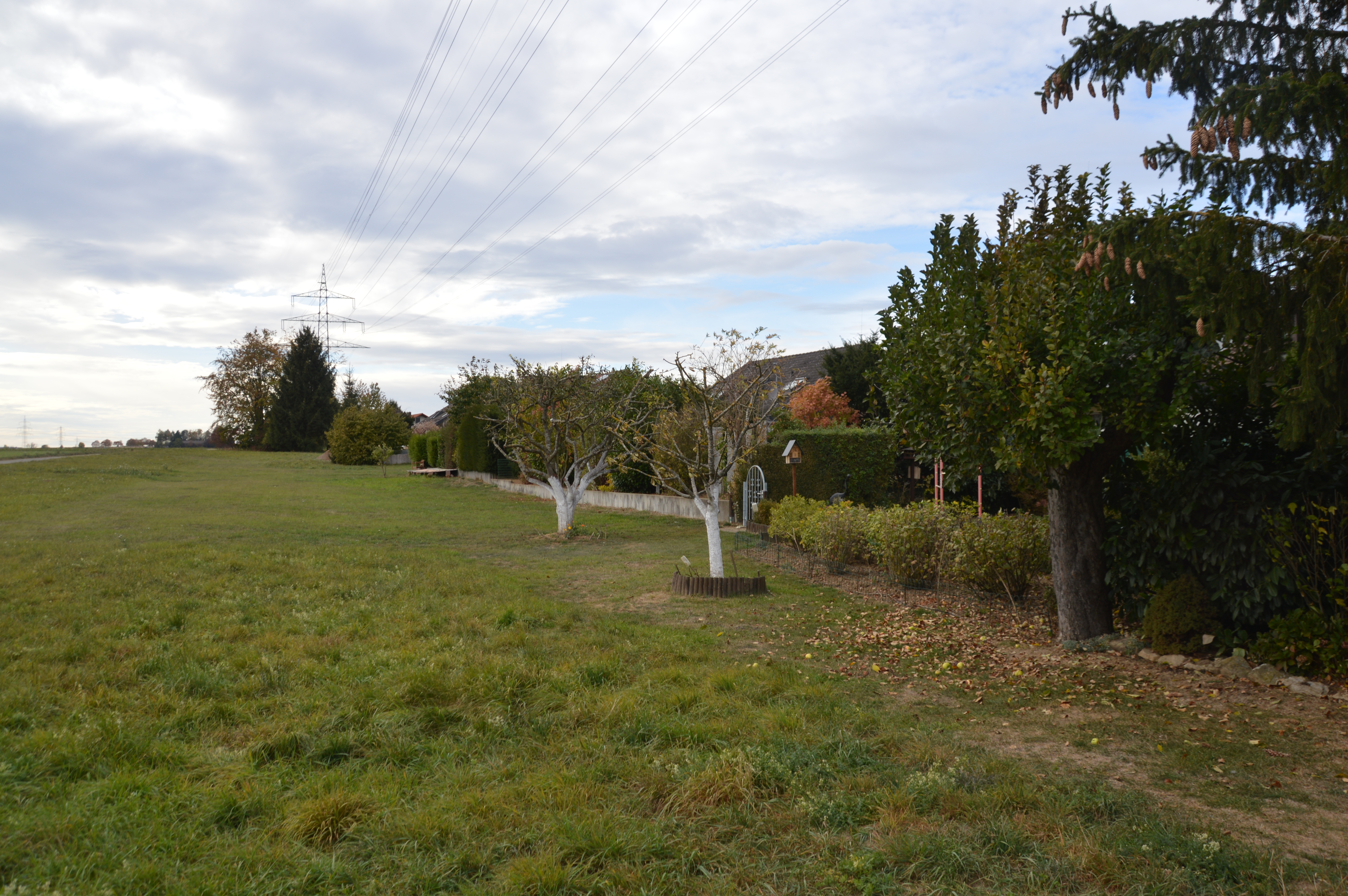 Potenzielles Wohngebiet: Rechts stehen die Häuser der Maichinger Krautgartensiedlung. Alles, was sich links des Feldwegs befindet, liegt auf Sindelfinger Markung. Deshalb die Bezeichnung "Sindelfingen West". Bild: Wegner
