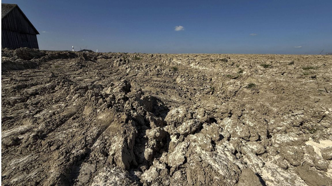 Trockenheit auf einem Feld bei Stetten im Unterallgäu. Der Boden ist nach dem Pflügen ausgetrocknet durch den Wind.