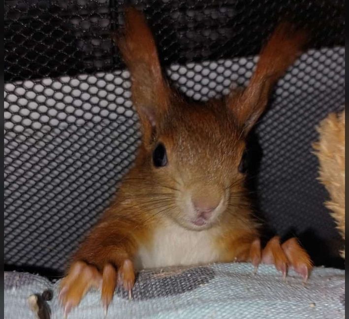 Schau mal, hier bin ich.