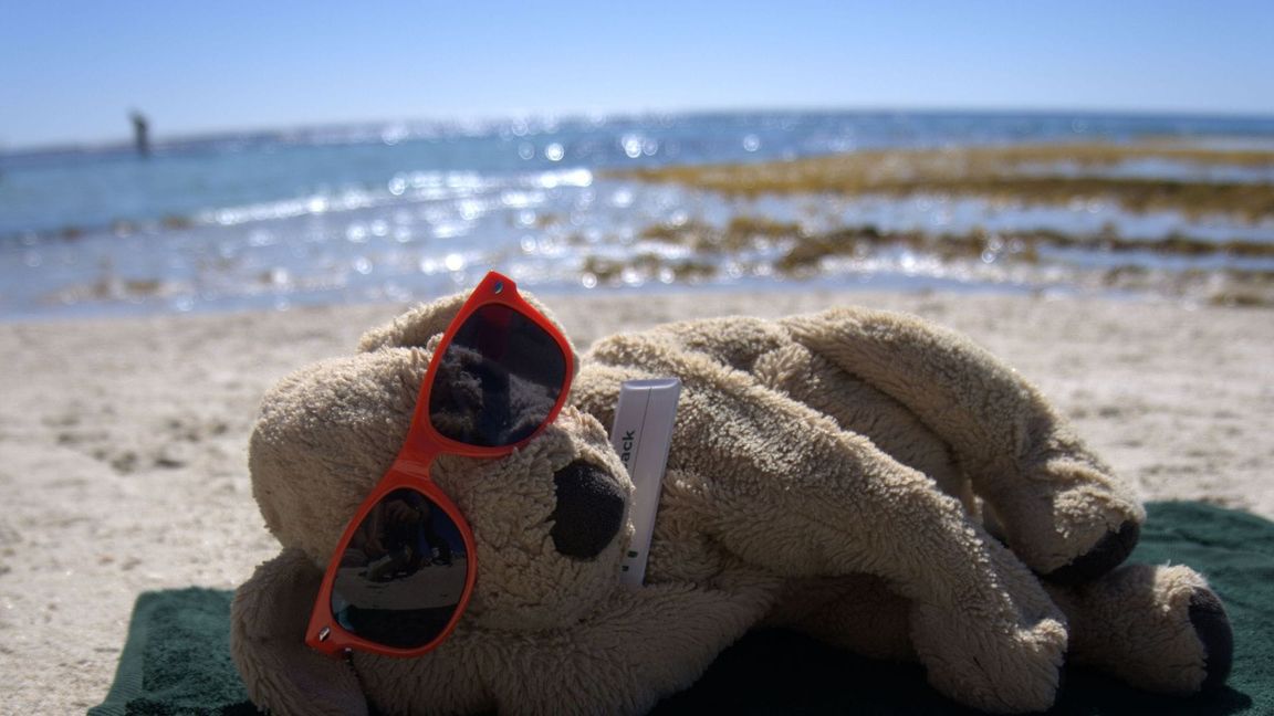 Auch am Strand durfte sich Jack schon sonnen.