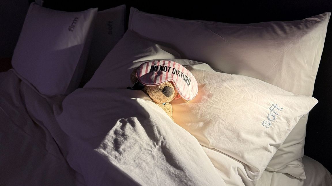 Gute Nacht, Jack: Die Belegschaft hat das süße Kuscheltier mittlerweile "adoptiert".