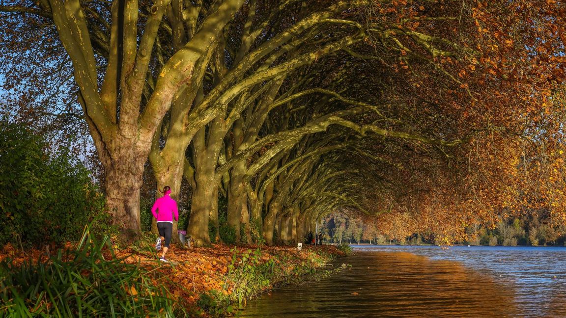 Der Herbst ist einer der schönsten Jahreszeiten, um lange Spaziergänge zu machen – oder joggen zu gehen.