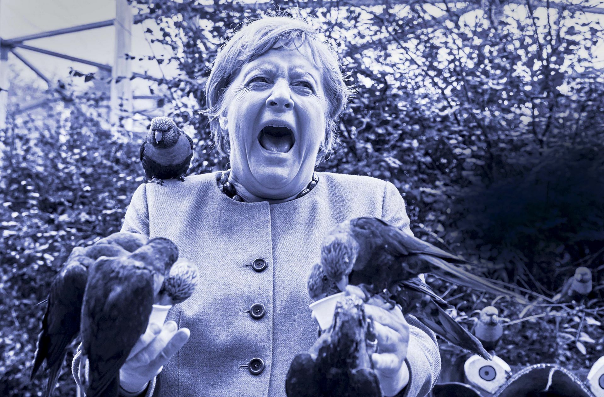So sah man Angela Merkel selten: Die Bundeskanzlerin, füttert australische Loris im Vogelpark Marlow.
 Foto: dpa/Georg Wendt
