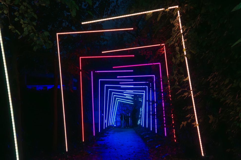 Der Tunnel zieht die Besucher fast magisch an.