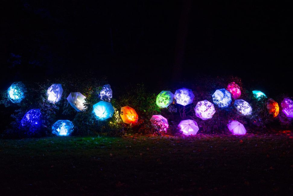 Zauberhafte bunte Schirme.