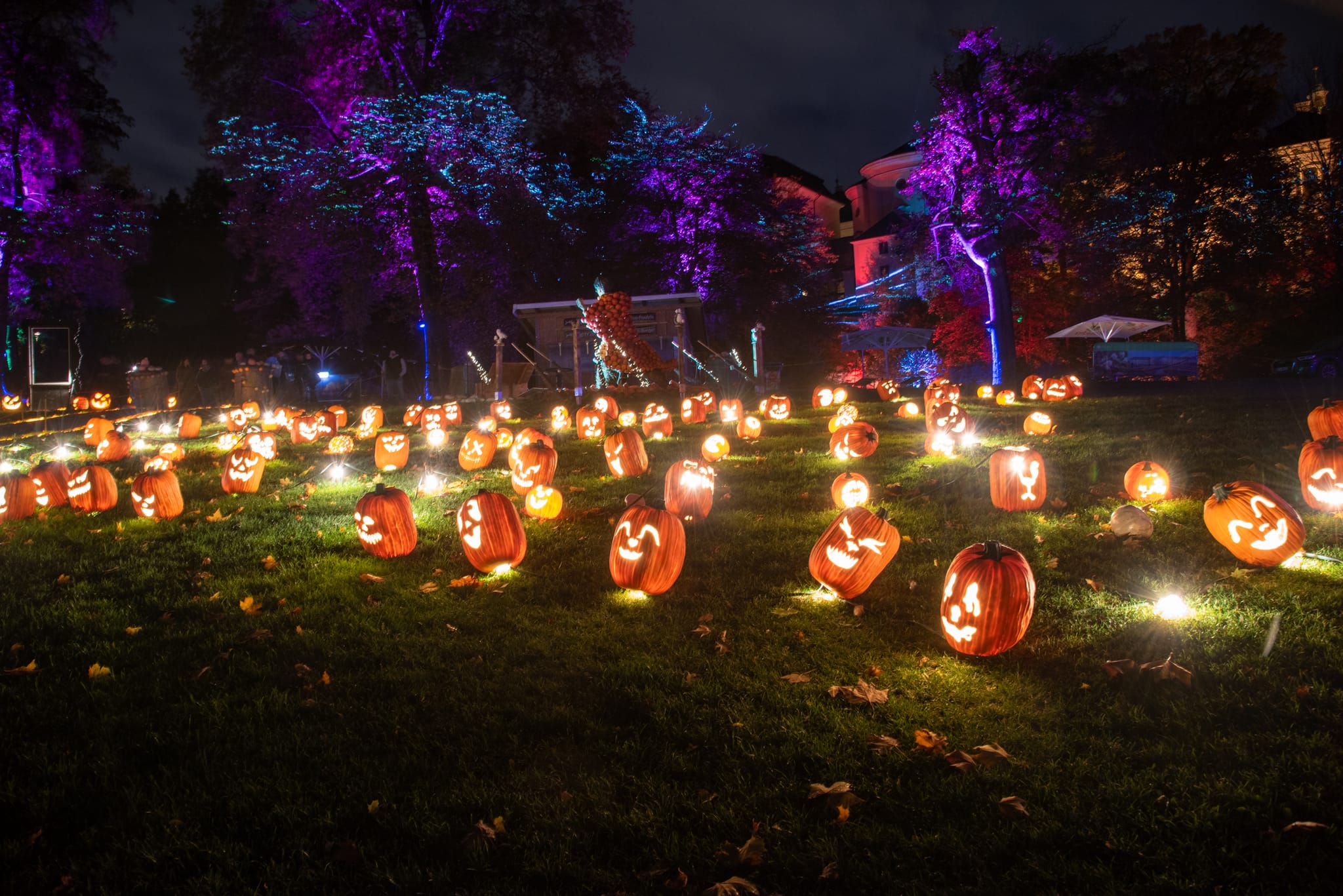 Lachende und gruselige Kürbisse gehören nicht nur zu Halloween, sondern auch zu den Traumpfaden.