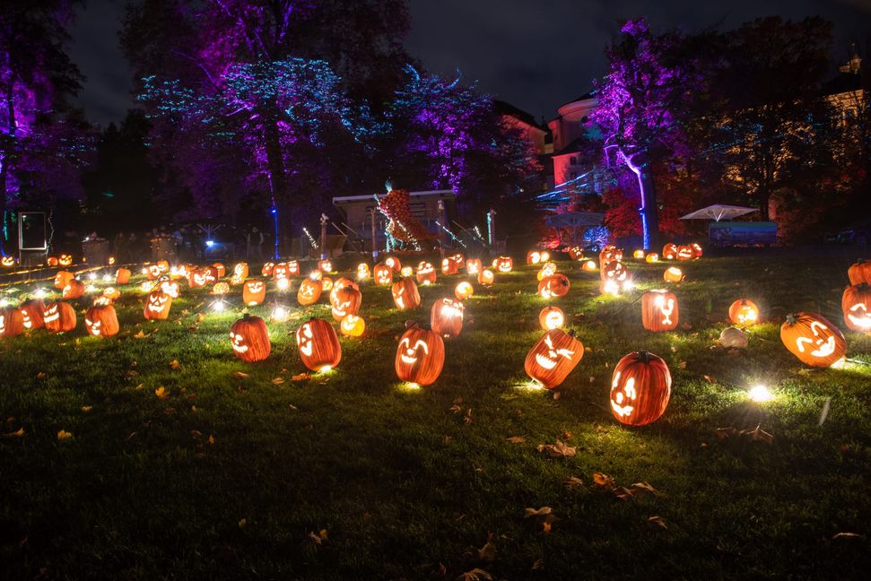 Lachende und gruselige Kürbisse gehören nicht nur zu Halloween, sondern auch zu den Traumpfaden.
