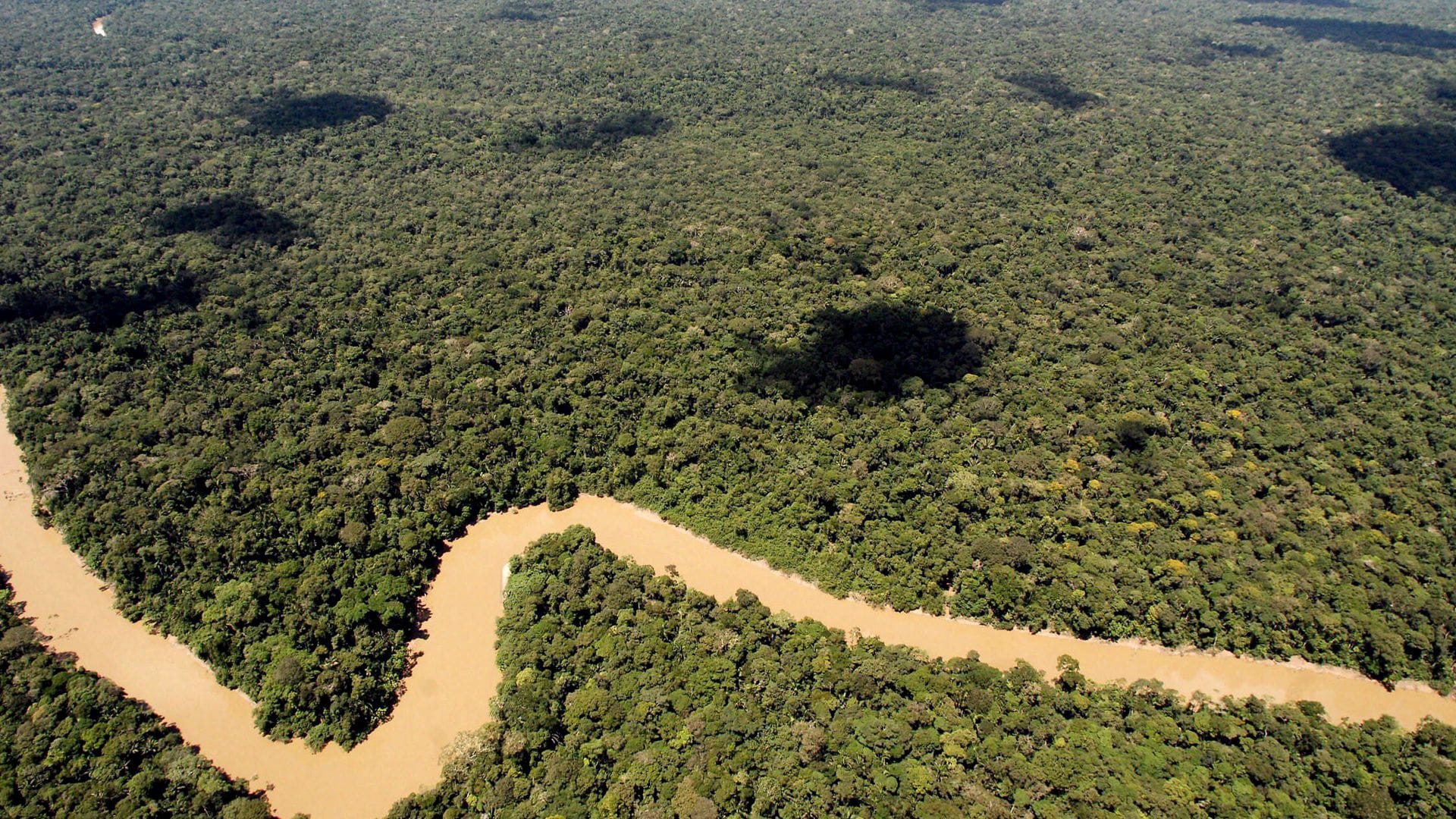 Der Regenwald in Ecuador ist schon lange bedroht. Doch es gibt Hoffnung.