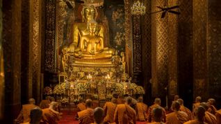 Ein Skandal erschüttert Thailand.