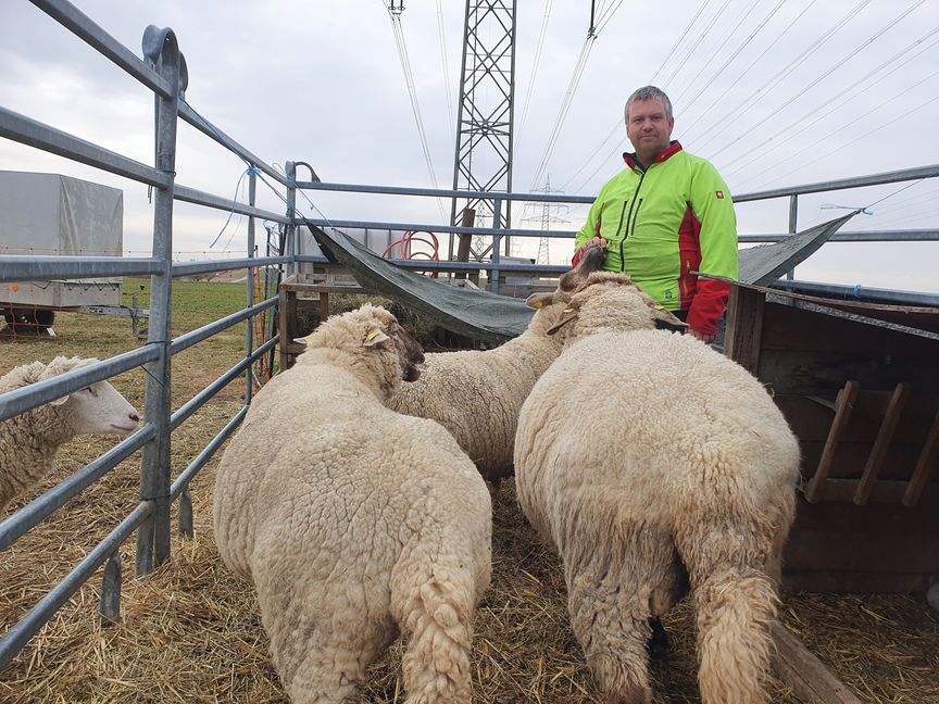 Bernd Spindler in seinem Reich der weichen Tiere. Bild: Wegner