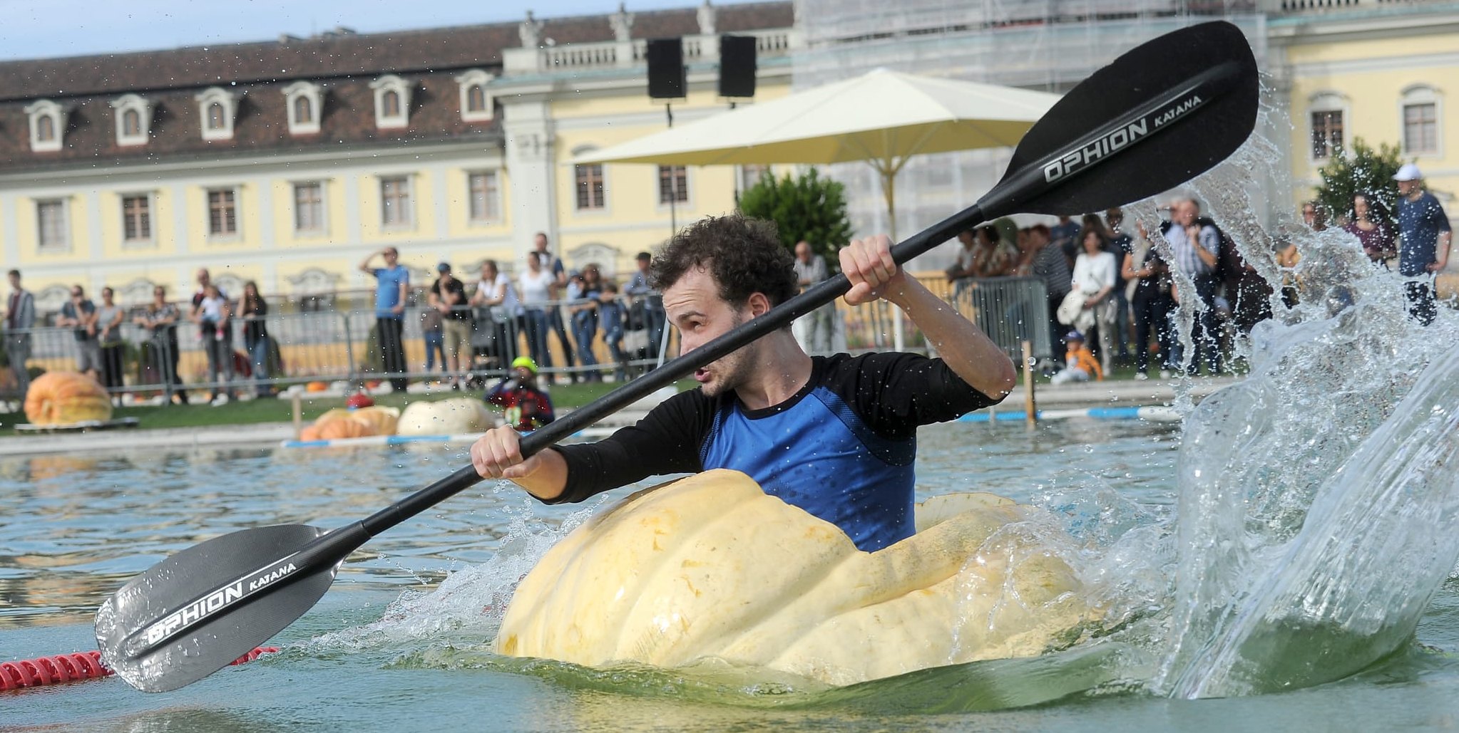 Bei der Kürbis-Regatta im Blühenden Barock paddeln die Teilnehmer in ausgehöhlten Riesenkürbissen um die Wette.