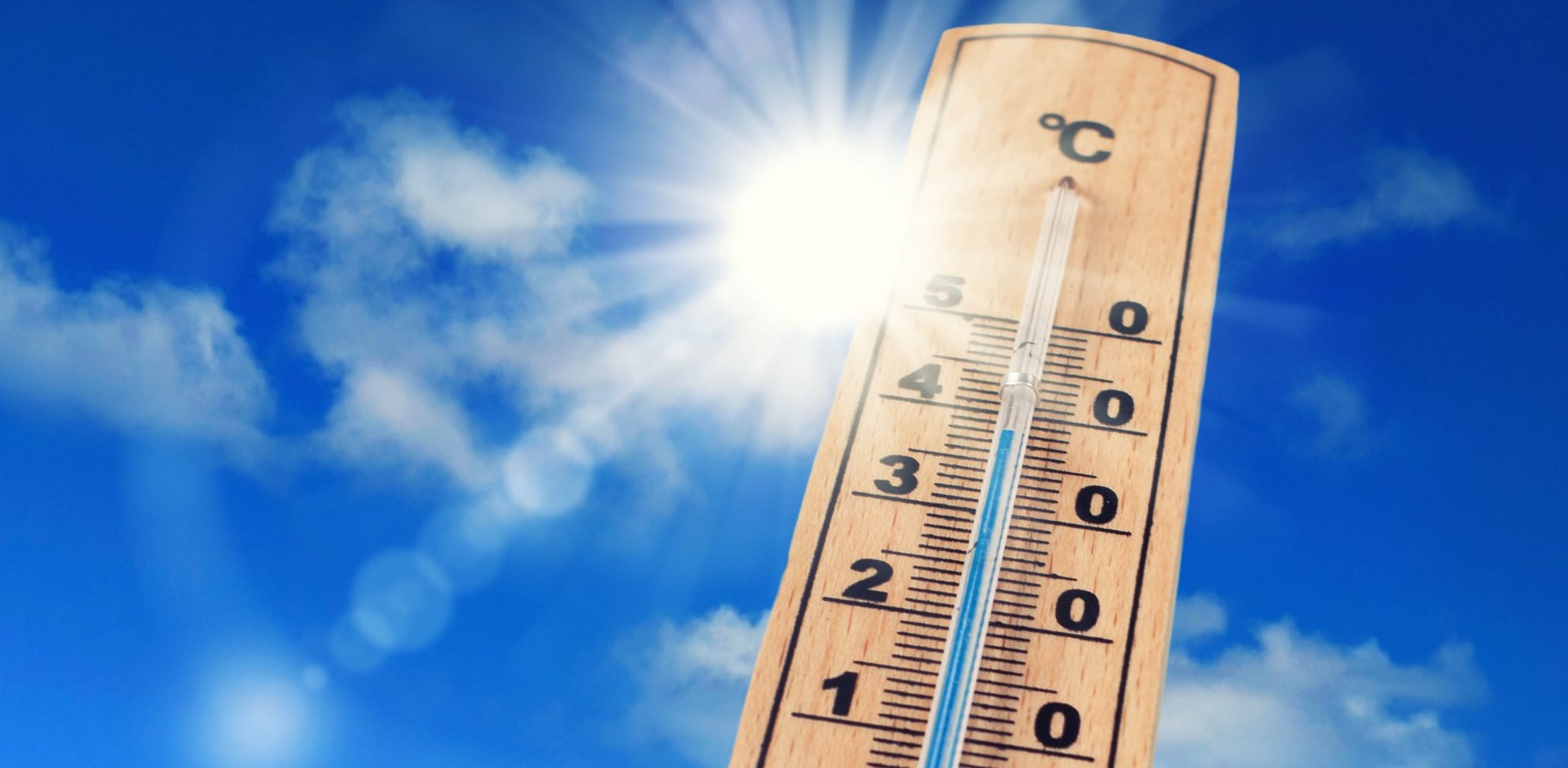 Der Klimawandel sorgt für deutlich höhere Temperaturnen. Bild: Jenny Sturm/Adobe Stock