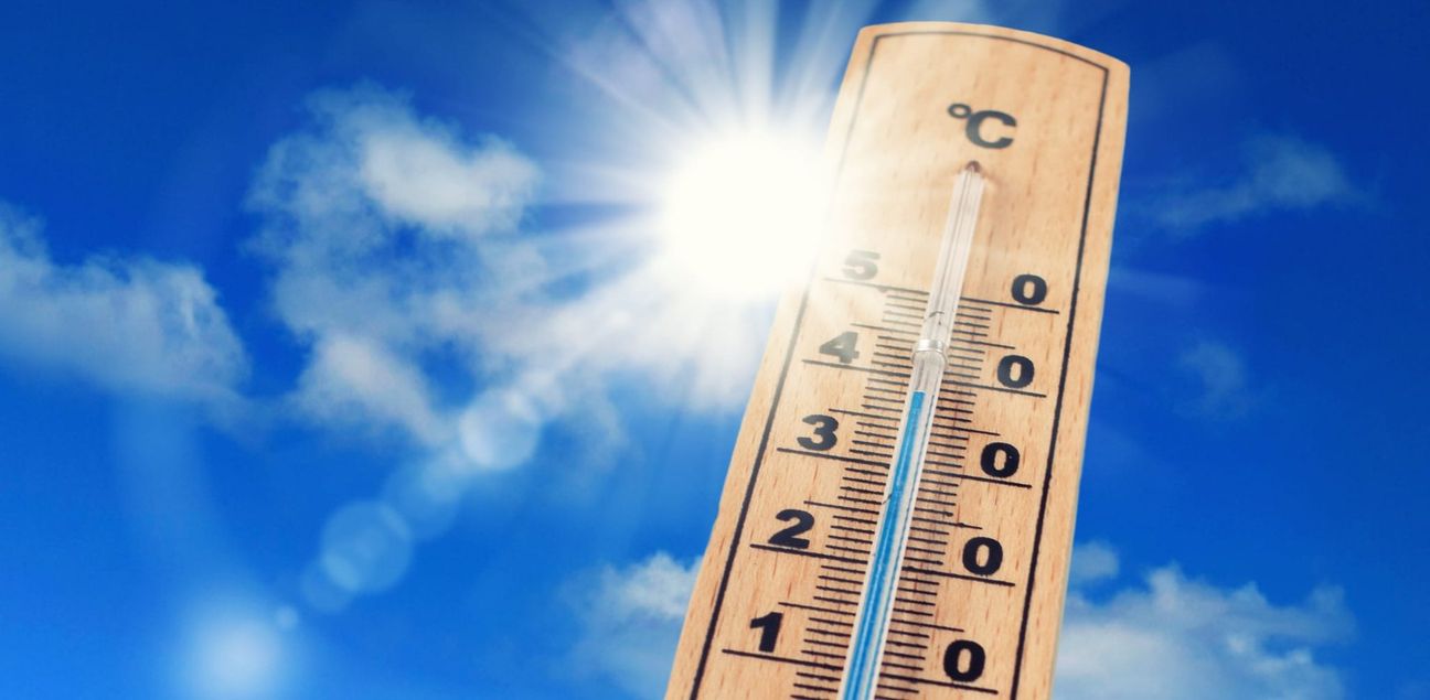 Der Klimawandel sorgt für deutlich höhere Temperaturnen. Bild: Jenny Sturm/Adobe Stock