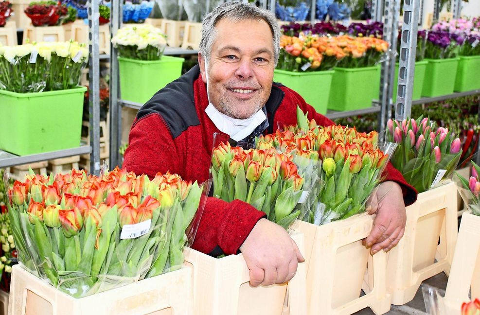 Steffen Vahldiek inmitten seines Blumenmeers im  2000 Quadratmeter großen Kühlhaus in Bietigheim Foto: Caroline Holowiecki