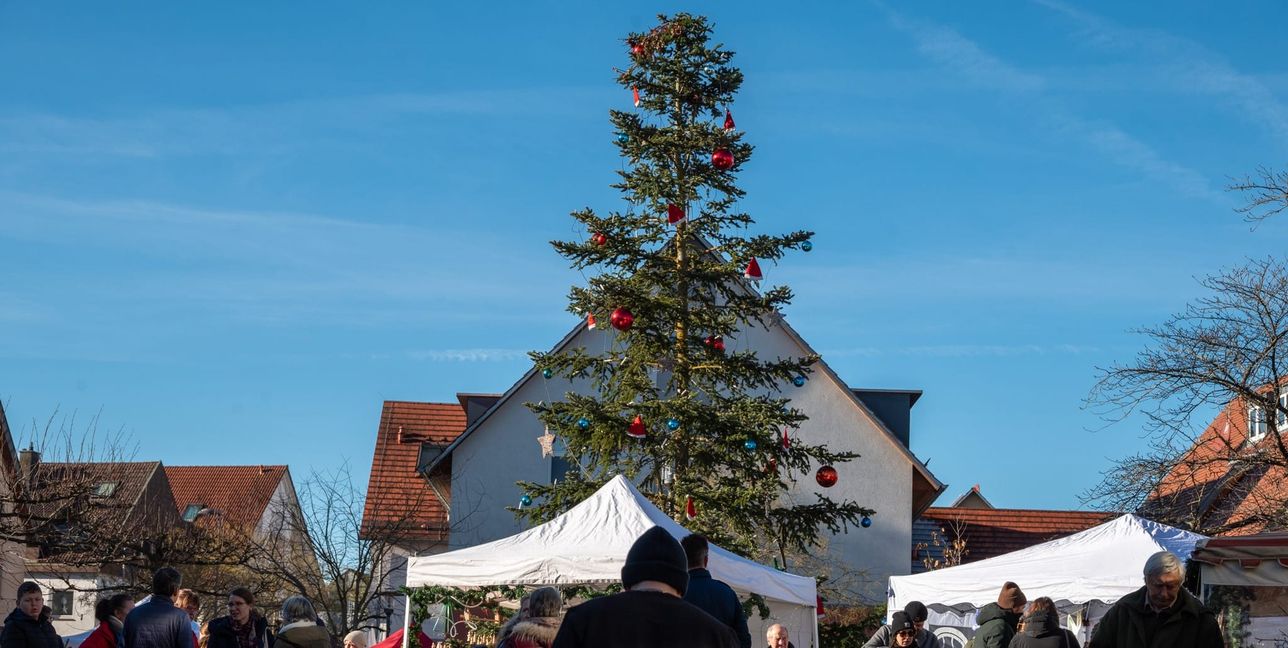 Die große Tanne ist der Blickfang auf dem Darmsheimer Weihnachtsmarkt.