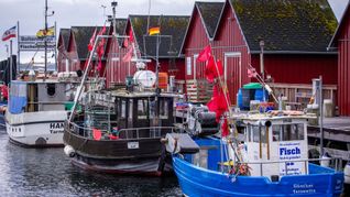 Trotz Sorgen um Dorsch und Hering: Für die deutschen Ostsee-Fischer bleibt fast alles beim Alten. (Symbolbild)