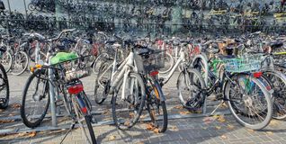 Auf einer Fahrradbörse findet meistens jeder das Passende für sich.