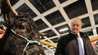 Umstritten: Bauernpräsident Joachim Ruckwied will Erntehelfern  nur noch 80 Prozent des Mindestlohns zahlen.