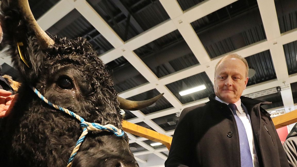 Umstritten: Bauernpräsident Joachim Ruckwied will Erntehelfern  nur noch 80 Prozent des Mindestlohns zahlen.