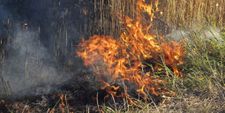 Der Feuerwehreinsatz auf den Feldern zwischen Böblingen und Dagersheim.