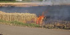 Der Feuerwehreinsatz auf den Feldern zwischen Böblingen und Dagersheim.