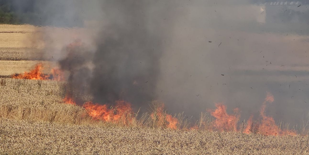 Auf dem Getreidefeld schlagen die Flammen hoch.