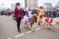 Mehr als Pferdemarkt: Buntes Treiben beim Leonberger Faschingsumzug