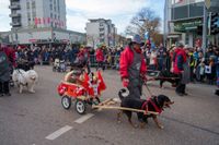 Mehr als Pferdemarkt: Buntes Treiben beim Leonberger Faschingsumzug
