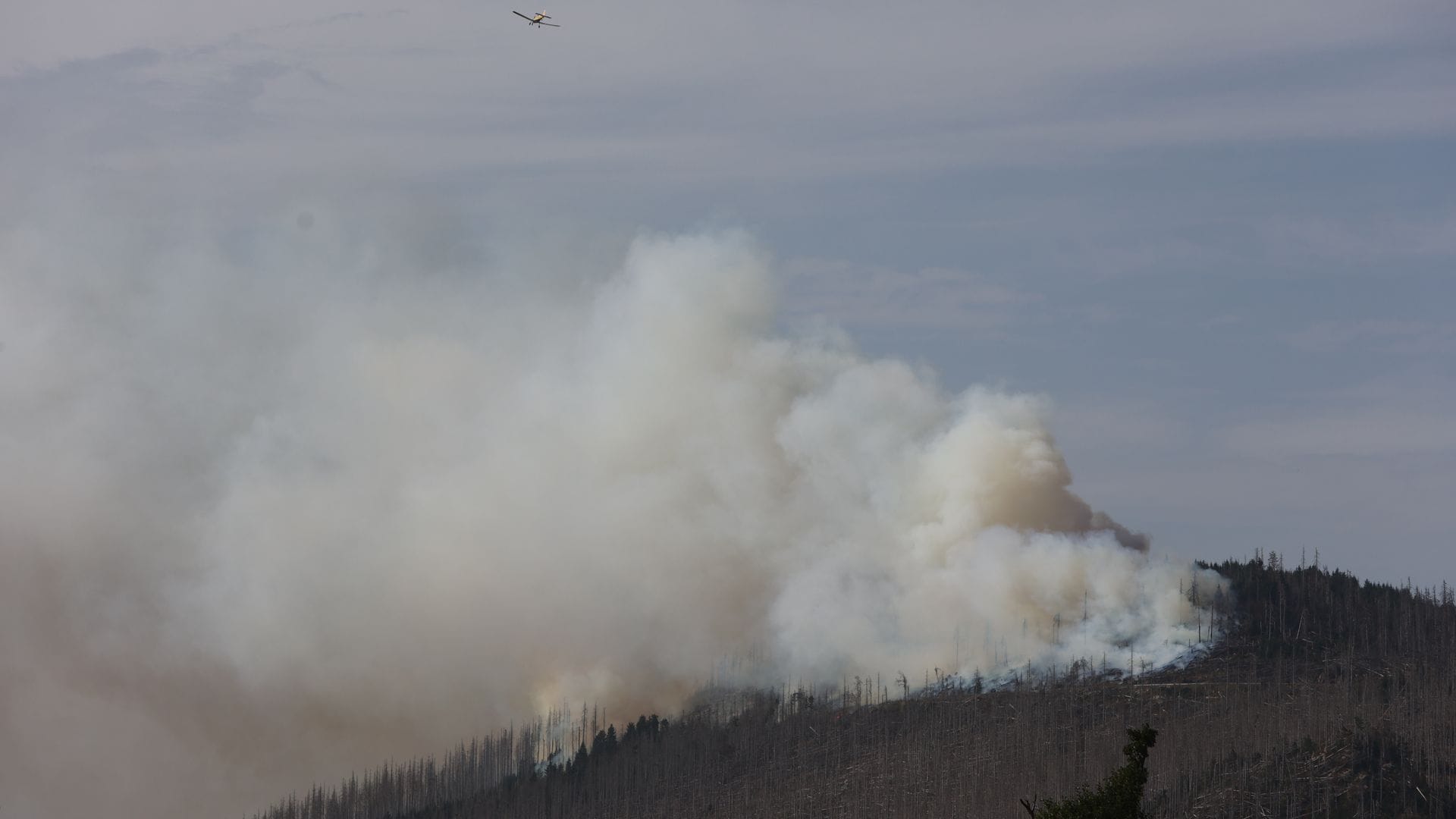 Vor zwei Jahren hatte der Landkreis Harz den Katastrophenfall wegen eines Brandes am Brocken ausgerufen - jetzt ist dort wieder ein Feuer ausgebrochen (Foto aktuell).
