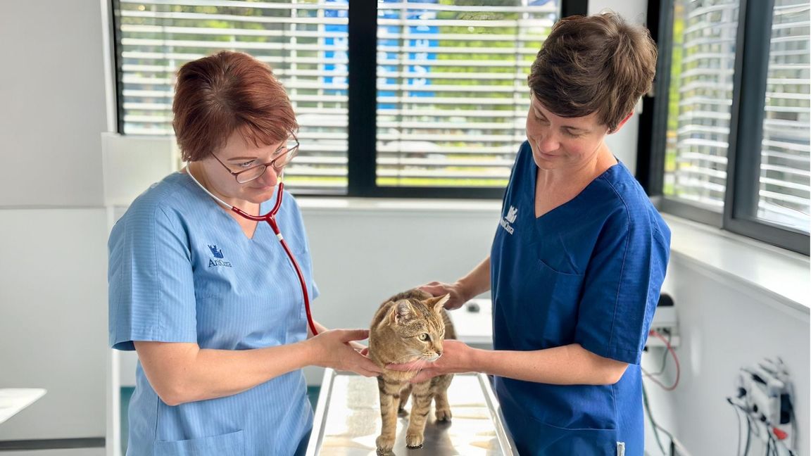 Für die Tierärztinnen Katharina Möhler und Helene Enns gehört der Umgang mit Anfeindungen in der Tierklinik Heilbronn inzwischen zum Alltag.