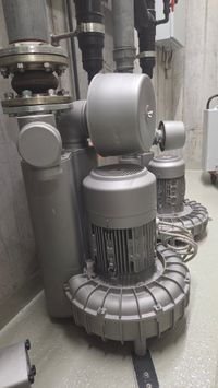 Ein Luftverdichter erzeugt die "Blubberblasen".