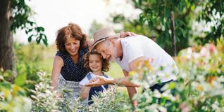 Die Generationenberatung der Vereinigten Volksbank sorgt dafür, dass rechteitige Planung Familien entlastet.