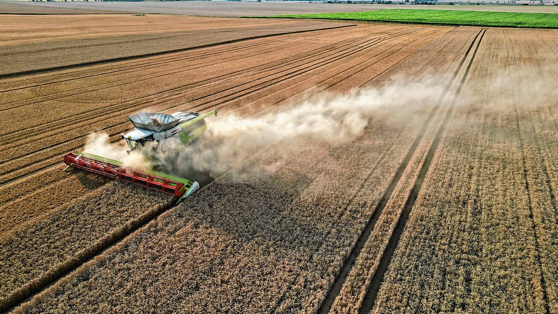 Eine Prognose für die Ernte 2024 in Deutschland will der Verband beim Ernteauftakt am 1. Juli vorstellen.