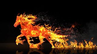 Das „Feuerpferd“ oder „Feuer-Pferd“ ist in China das Symbol des Jahres 2026.