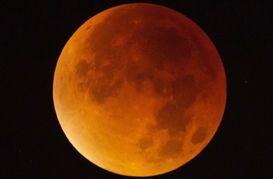 Der Mond erscheint am 21. Januar über Stuttgart während einer Mondfinsternis fast vollständig in einem rötlichen Farbton. Ursache des roten Schimmers sind die roten Anteile des Spektrums der Sonnenstrahlen, die durch die Erdatmosphäre in den Kernschatten der Erde abgelenkt werden.