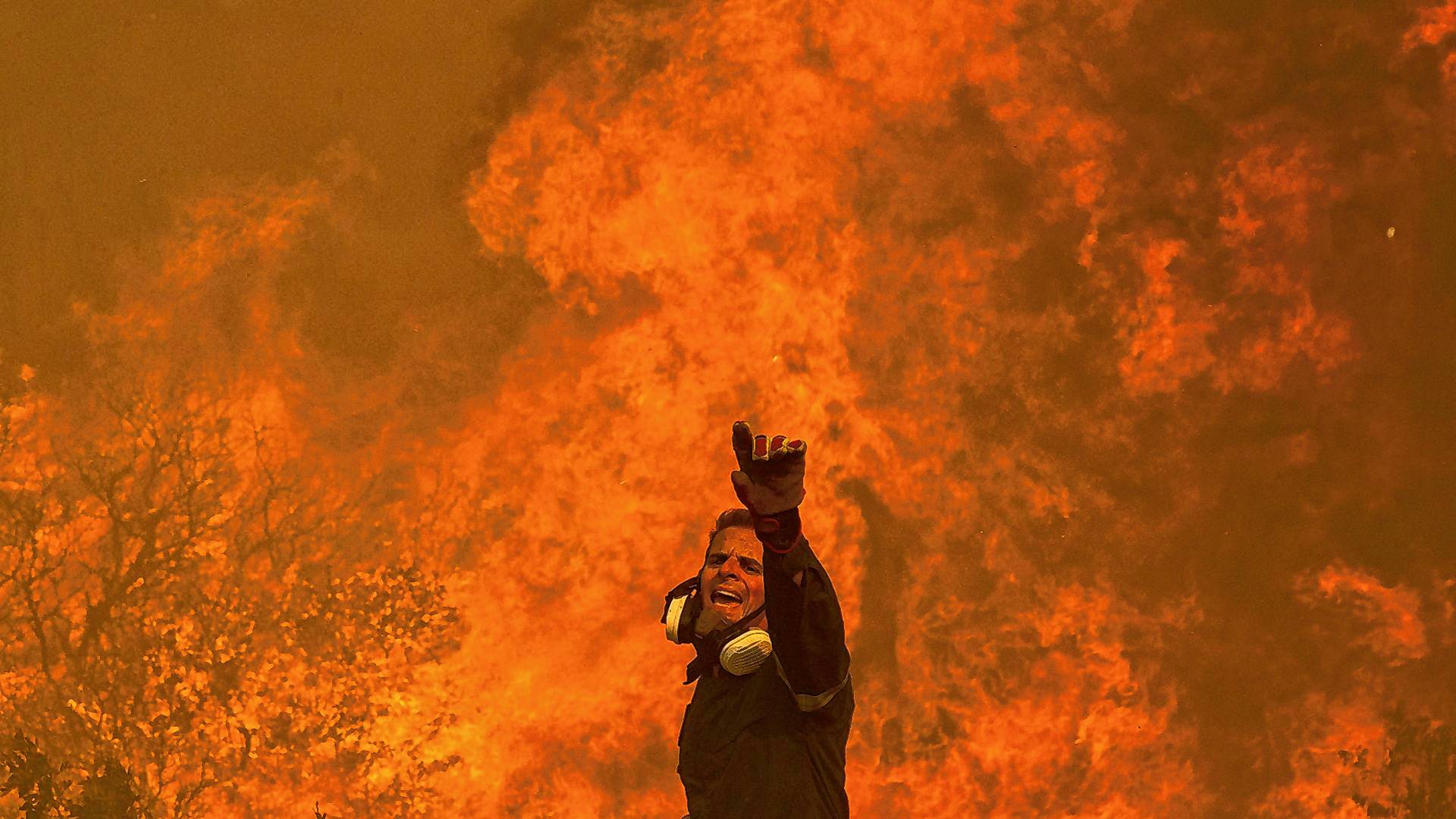 Bislang gibt es in Griechenland rund 14.100 Feuerwehrleute. Auch Privatleute bereiten sich auf den Kampf gegen die Brände vor.