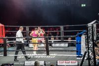 Volle Hütte bei der langen Boxnacht im Glaspalast.