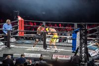Volle Hütte bei der langen Boxnacht im Glaspalast.