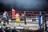 Volle Hütte bei der langen Boxnacht im Glaspalast.