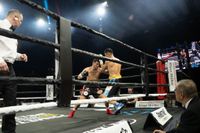 Volle Hütte bei der langen Boxnacht im Glaspalast.