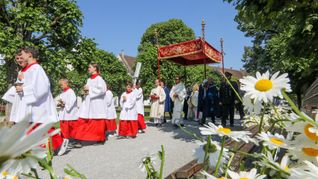 Unter einem Stoffbaldachin wird die Monstranz während der Fronleichnamsprozession am 8. Juni 2023 durch die Straßen des Dorfes Obermarchtal  getragen.