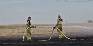 Feuerwehrleute löschten das Feld vollständig ab.