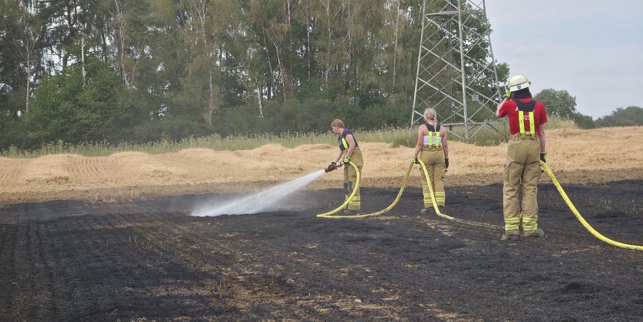 Feuerwehrleute löschten das Feld vollständig ab.