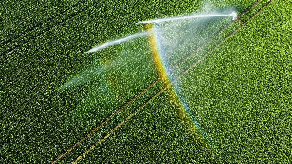 Bis zum Mittwoch steigen die Temperaturen in Deutschland.