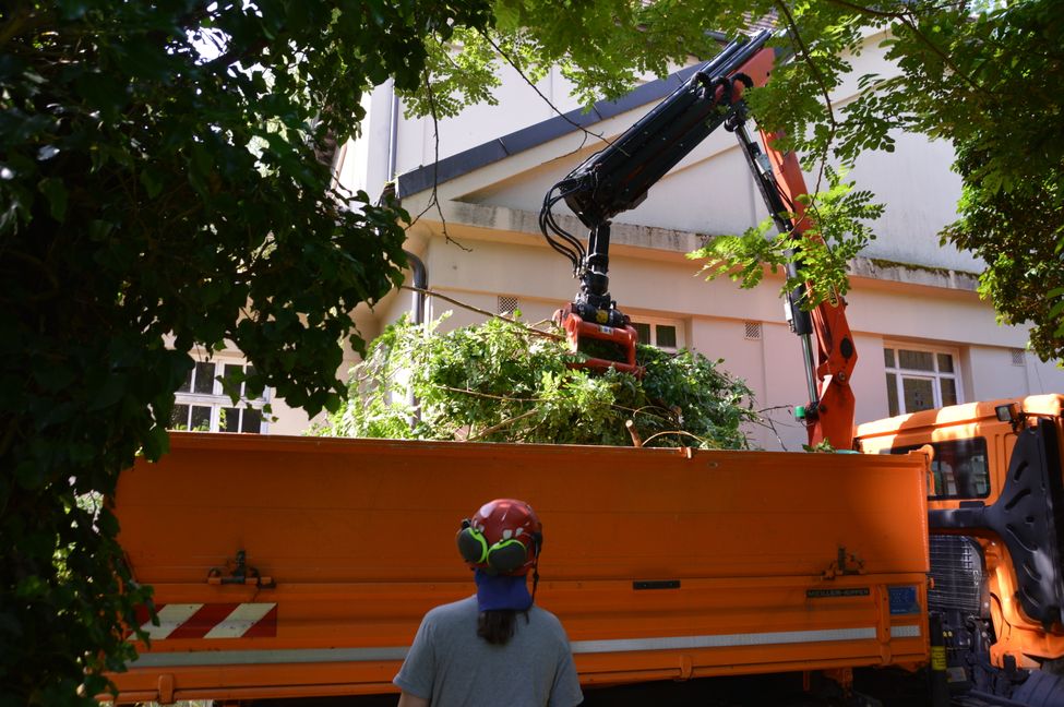 Am Montagmittag begannen die Aufräumarbeiten. Bild: Greck