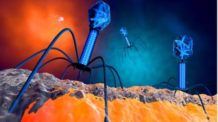 3-D-Illustration eines Bakteriophagen-Virus.