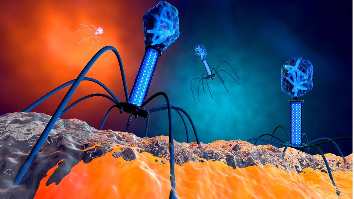 3-D-Illustration eines Bakteriophagen-Virus.