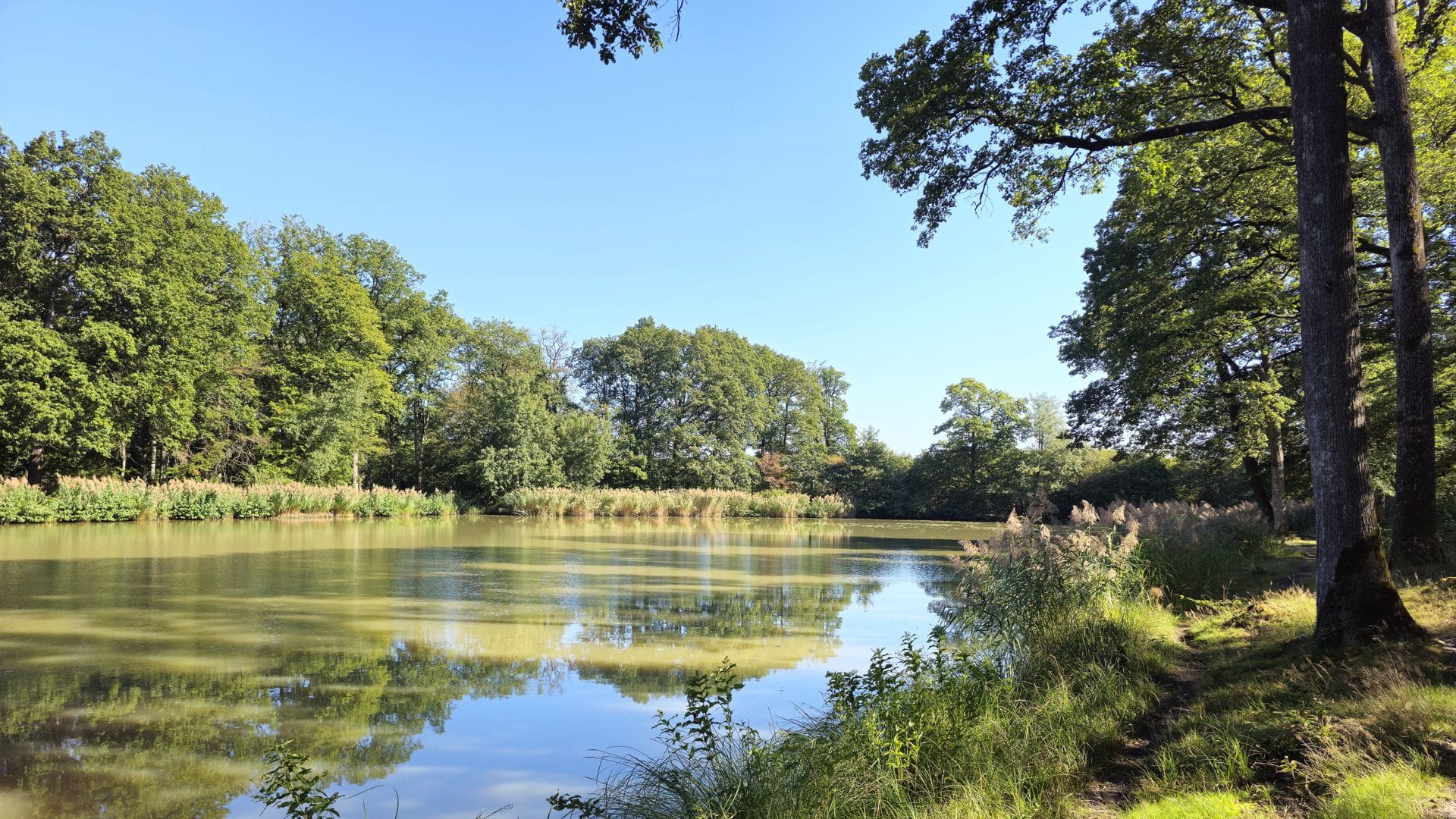 Am idyllischen Hamberger See lässt sich‘s gut rasten.