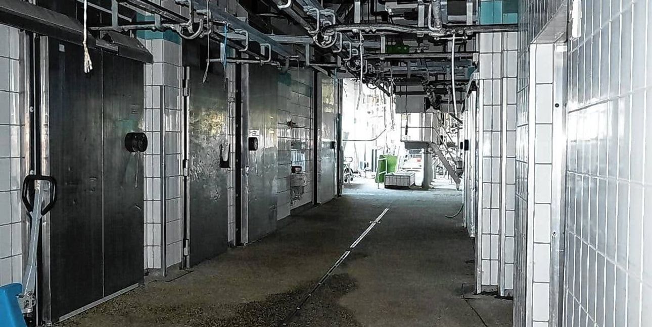 Der Schlachthof ist kein Ort zum Wohlfühlen. Unnötige Grausamkeiten verstoßen aber gegen das Gesetz.