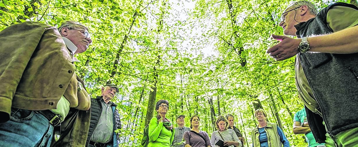 Einen Waldzustandsbericht bekamen die Renninger im Gemeindewald von Förster Rolf Maier.  Bild: Richter